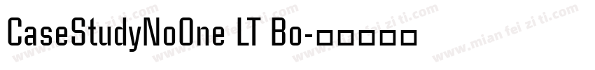 CaseStudyNoOne LT Bo字体转换
